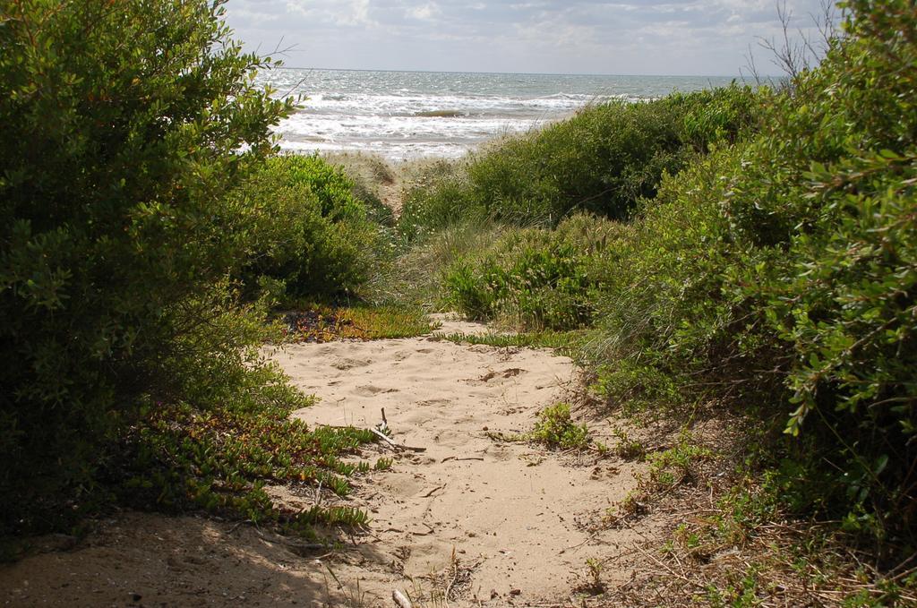 Award Winning Beach Front Retreat Frankston Eksteriør bilde